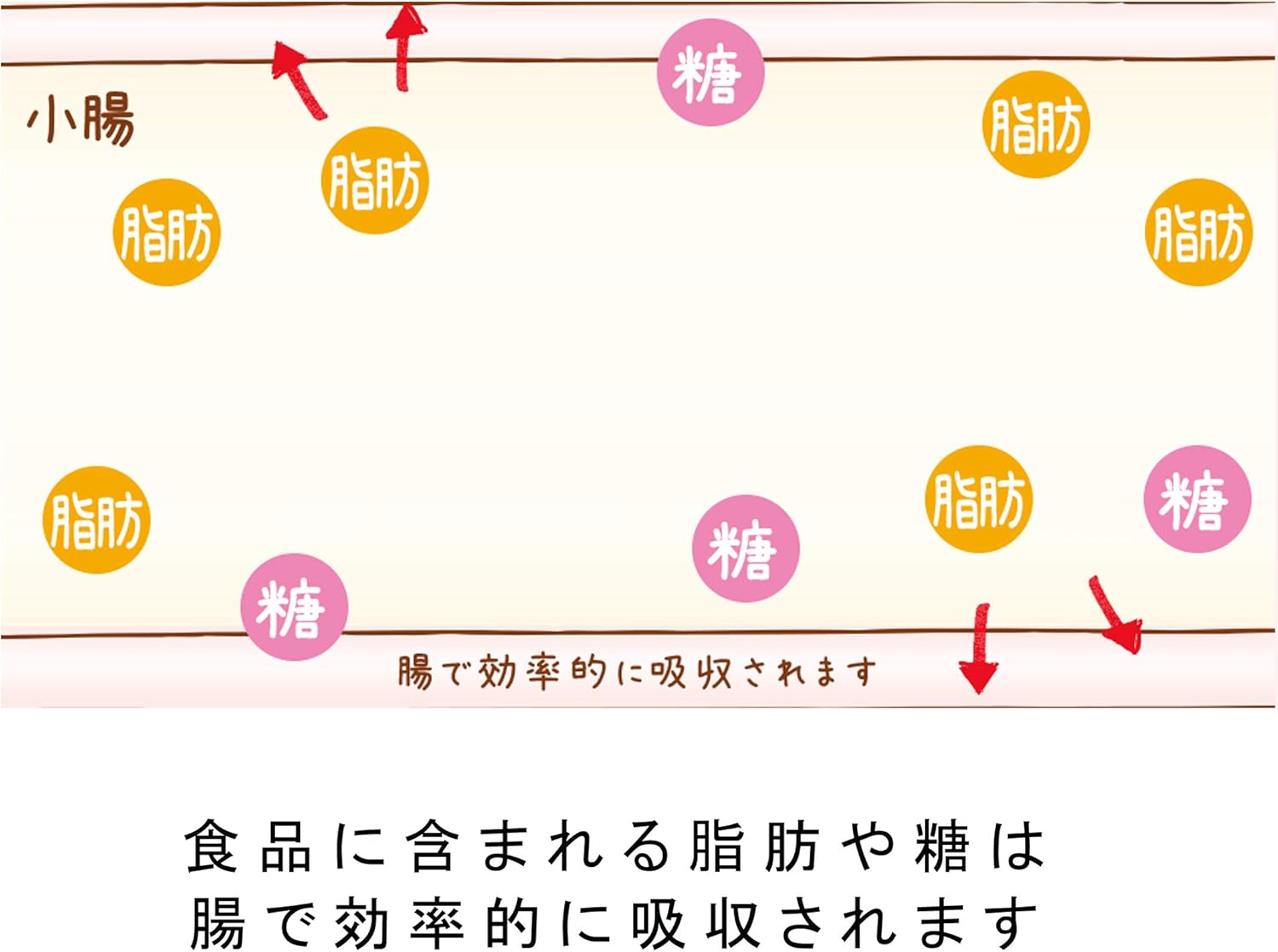 Молочный шоколад LIBERA Glico, 10 шт. x 50 гр. — изображение 2